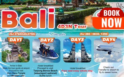 Bali 4D3N Tour